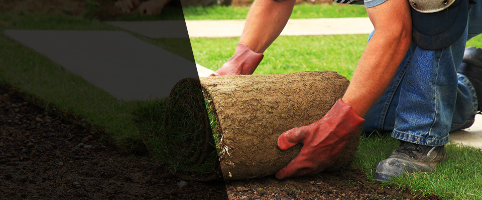 Spring Lake Landscapers